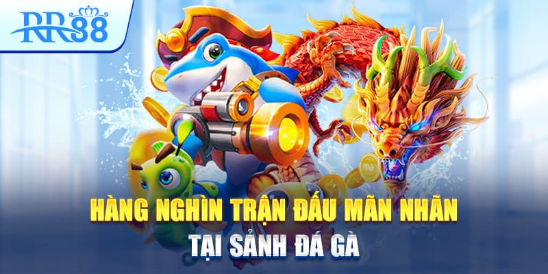 hang-nghin-tran-dau-man-nhan-tai-sanh-da-ga